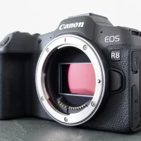 canon eos r8