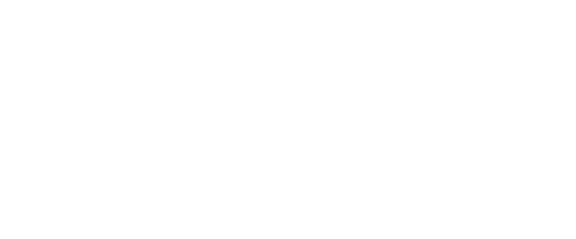 logo merlin.webp