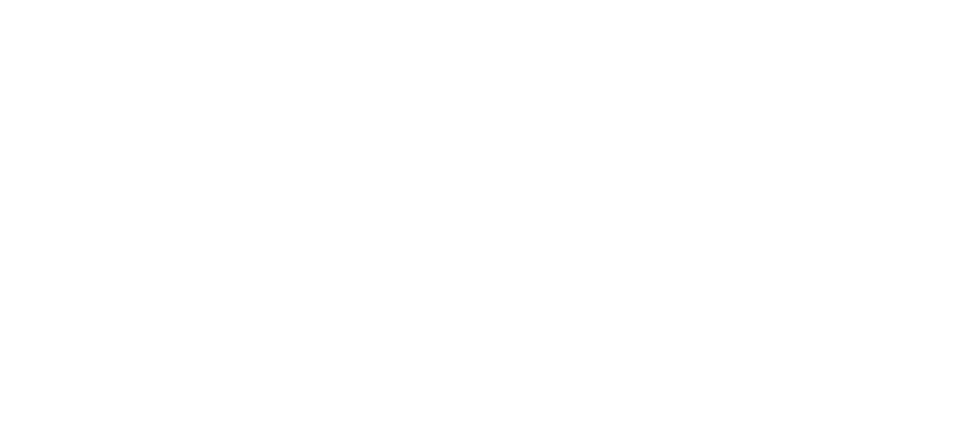 merlin cursos braco
